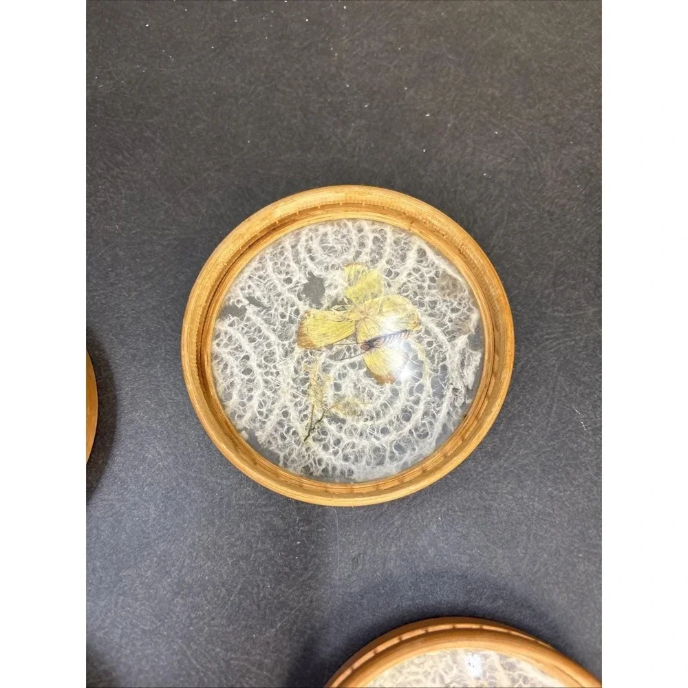 Vtg~1970's~Pressed Butterfly Bamboo Coaster~Set of 4~Japan